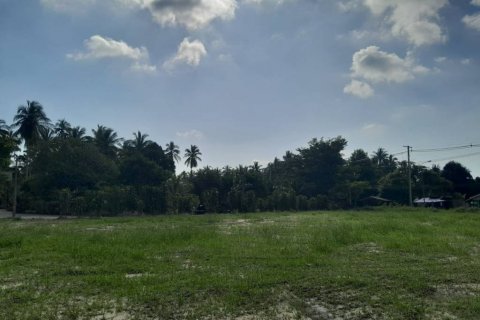 Terreno en Surat Thani, Tailandia № 115810 - foto 8