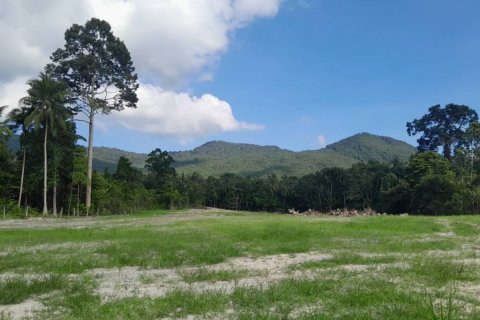 Terreno en Surat Thani, Tailandia № 115810 - foto 4