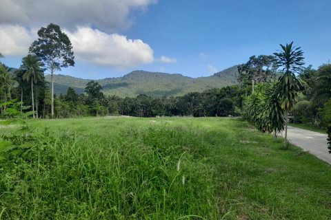 Terreno en Surat Thani, Tailandia № 115810 - foto 6
