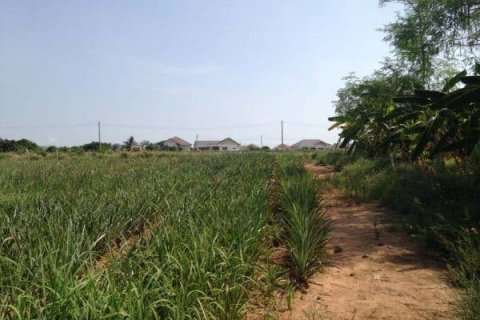 Terreno en Hua Hin, Tailandia № 125205 - foto 8