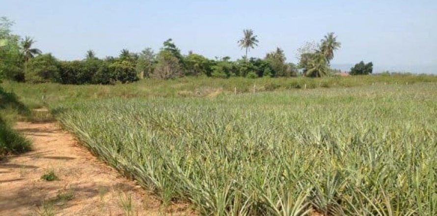 Terreno en Hua Hin, Tailandia № 125205