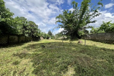 Terreno en Chiang Rai, Tailandia № 132716 - foto 8