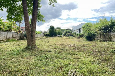 Land in Chiang Rai, Thailand № 132716