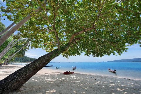 Casa de 5 dormitorios en Ko Samui, Tailandia № 82422 - foto 20