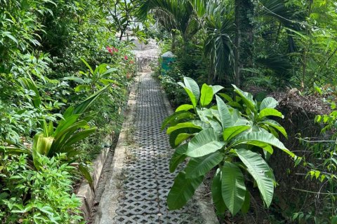 Terreno en Surat Thani, Tailandia № 132845 - foto 7