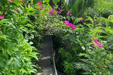 Terreno en Surat Thani, Tailandia № 132845 - foto 4