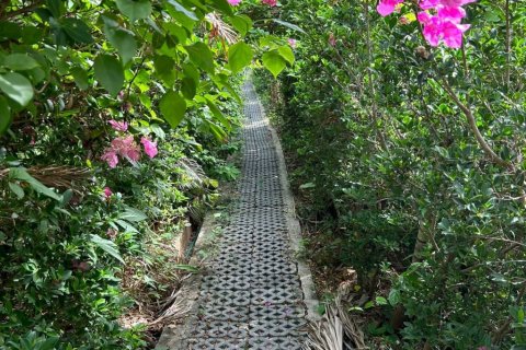 Terreno en Surat Thani, Tailandia № 132845 - foto 6