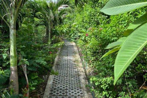 Terreno en Surat Thani, Tailandia № 132845 - foto 5