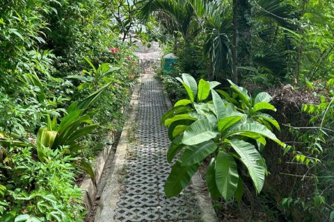 Terreno en Surat Thani, Tailandia № 132845 - foto 8