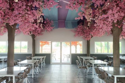 คาเฟ่/ร้านอาหารในเชียงราย, ประเทศไทย № 125958 - รูปถ่าย 2