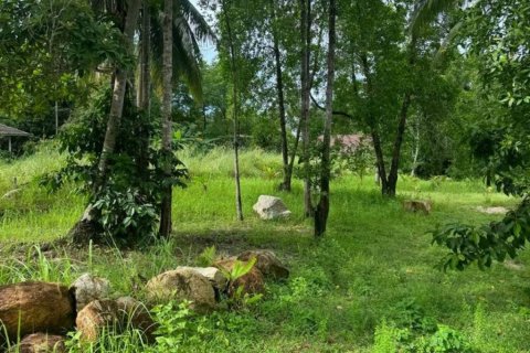Land in Surat Thani, Thailand № 115884 - photo 2