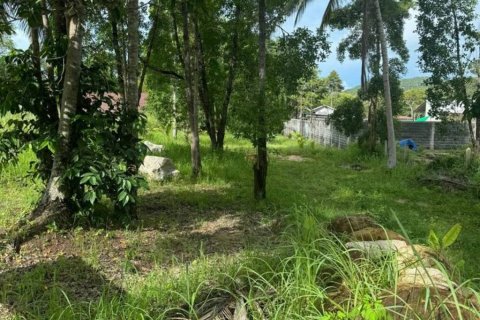Land in Surat Thani, Thailand № 115884 - photo 3