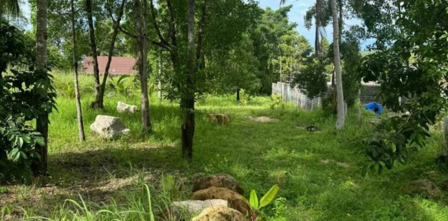 Land in Surat Thani, Thailand № 115884
