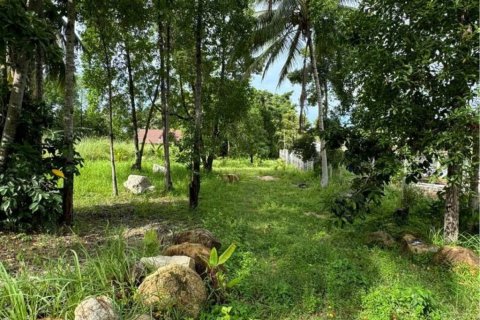 Land in Surat Thani, Thailand № 115884 - photo 4