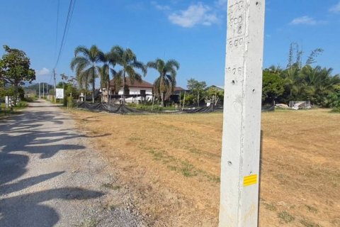 Terreno en Chiang Rai, Tailandia № 132552 - foto 3