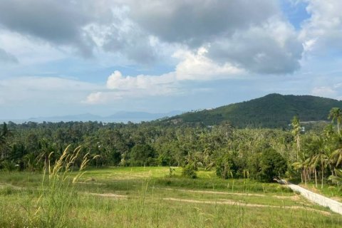Land in Surat Thani, Thailand № 120257