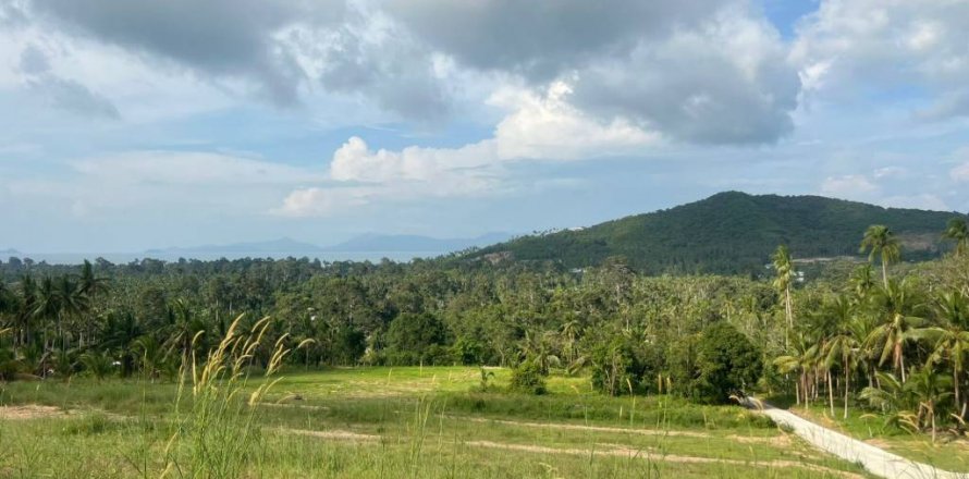 Terrain à Surat Thani, Thaïlande № 120257