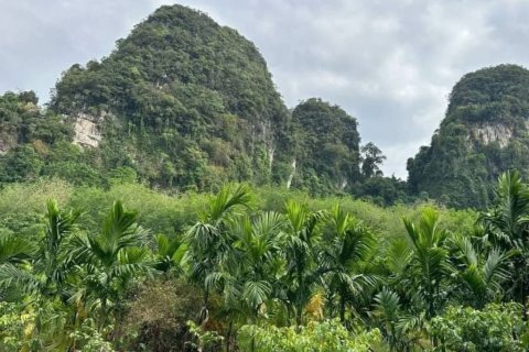 Grundstück in Krabi, Thailand № 125905