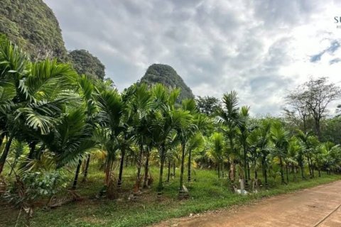 Grundstück in Krabi, Thailand № 125905 - Foto 2