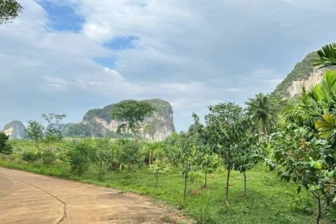 Grundstück in Krabi, Thailand № 125905 - Foto 3