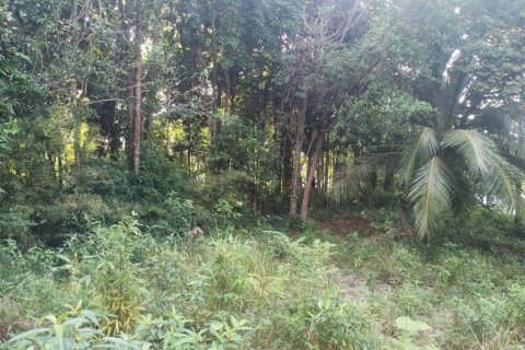 Terreno en Surat Thani, Tailandia № 116182 - foto 5