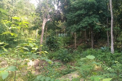 Terreno en Surat Thani, Tailandia № 116182 - foto 4