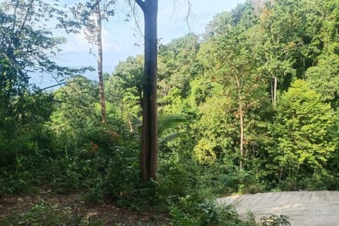 Terreno en Surat Thani, Tailandia № 116182 - foto 3