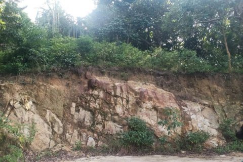 Terreno en Surat Thani, Tailandia № 116182 - foto 6