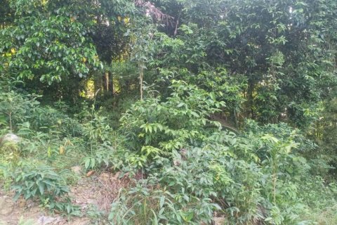 Terreno en Surat Thani, Tailandia № 116182 - foto 9
