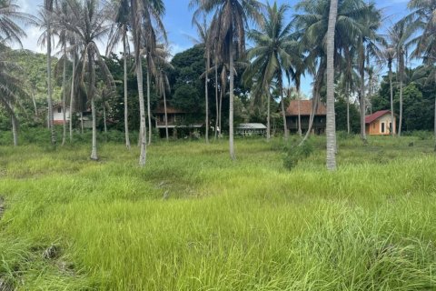 Terreno en Surat Thani, Tailandia № 116178 - foto 4
