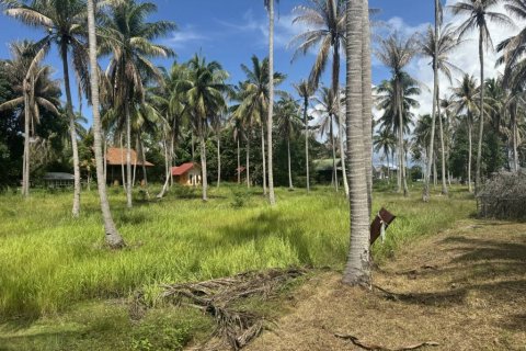Terreno en Surat Thani, Tailandia № 116178 - foto 6