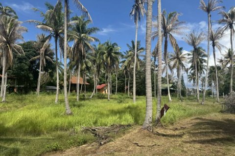 Terreno en Surat Thani, Tailandia № 116178 - foto 9