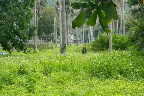 Terreno en Surat Thani, Tailandia № 116178 - foto 5