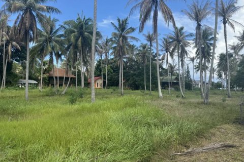 Terreno en Surat Thani, Tailandia № 116178 - foto 7