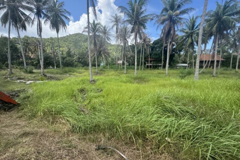Terreno en Surat Thani, Tailandia № 116178 - foto 8