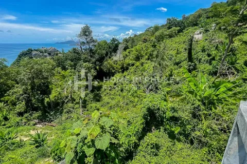 Terreno en Kamala, Tailandia № 131654 - foto 3