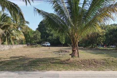 Land in Ko Samui, Thailand № 119497