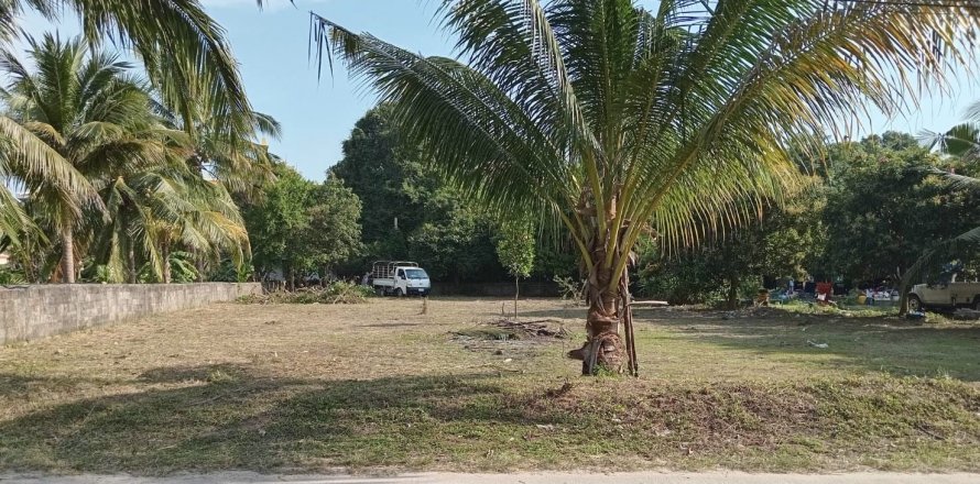 ที่ดินในเกาะสมุย, ประเทศไทย № 119497