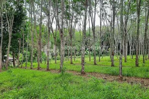 Terreno en Phuket, Tailandia № 131132