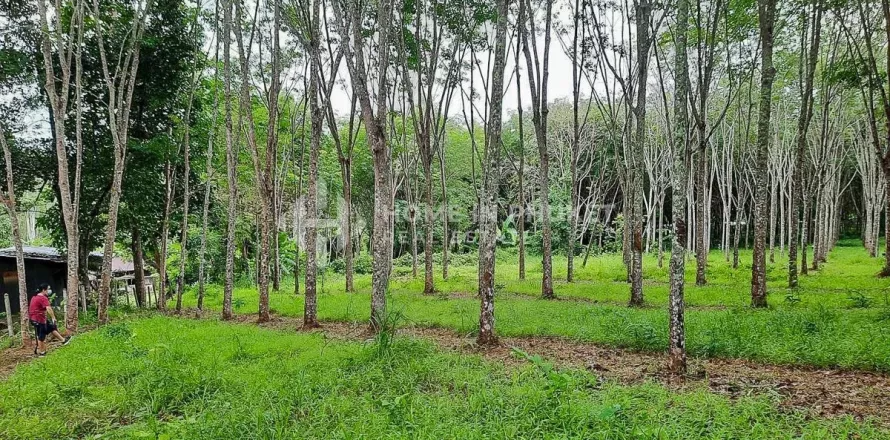 ที่ดินในภูเก็ต, ประเทศไทย № 131132