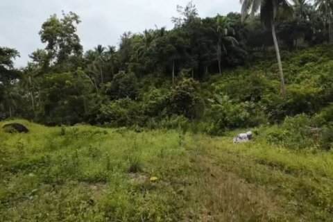 Terreno en Surat Thani, Tailandia № 124391 - foto 9