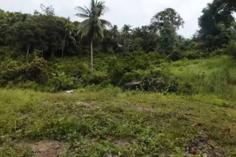 Terreno en Surat Thani, Tailandia № 124391 - foto 10