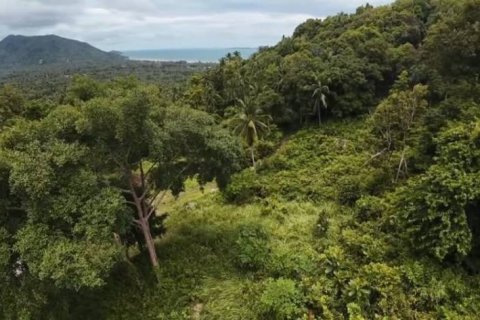 Terreno en Surat Thani, Tailandia № 124391 - foto 7