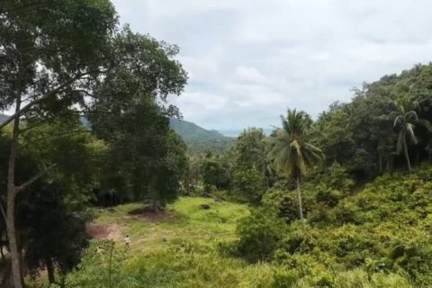 Terreno en Surat Thani, Tailandia № 124391 - foto 6