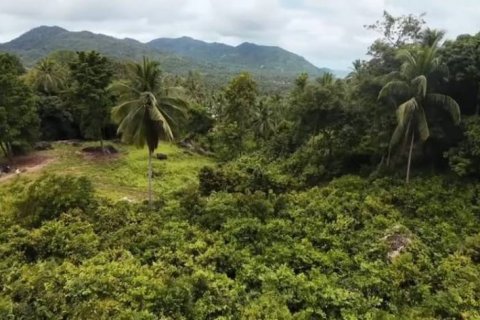 Terreno en Surat Thani, Tailandia № 124391 - foto 5