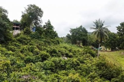 Terreno en Surat Thani, Tailandia № 124391 - foto 8