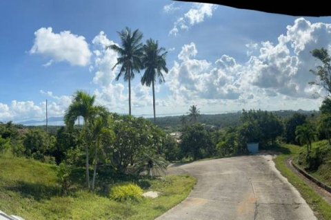 Land in Surat Thani, Thailand № 133034 - photo 2