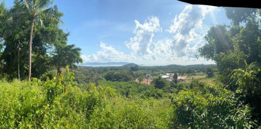 Land in Surat Thani, Thailand № 133034