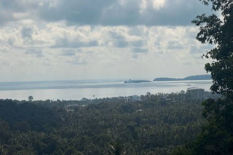 Land in Surat Thani, Thailand № 133034 - photo 4