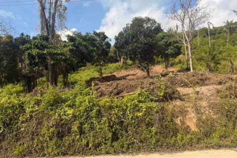 Land in Surat Thani, Thailand № 133034 - photo 3